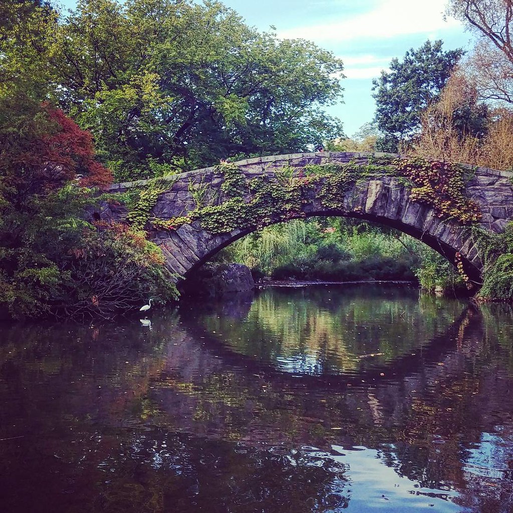 Happy Birthday, Central Park! Some photos I’ve taken of the park
over the years.